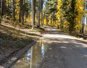 Casper Mountain forest road with reflections in the paddle