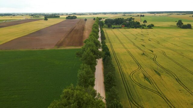 Drone shot of a narrow road with trees in a beautiful farmland
