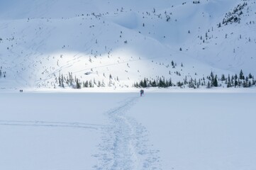 Majestic snow-covered mountain seen through a path with tracks on a sunny day