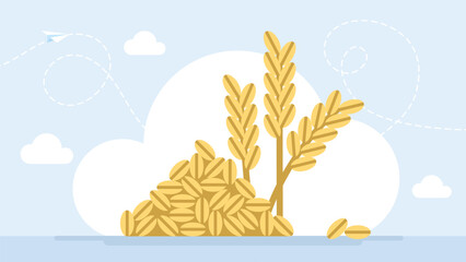 Wheat and grain spikes. Golden ears of corn. Grains plants and cereal, rye barley and wheat ear spikes. Food package design template, engraving food. Vector flat  illustration. 