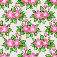 Hand drawn watercolor pink apple blossom seamless pattern isolated on pink background. Can be used for textile, gift-wrapping, fabric and other printed products.
