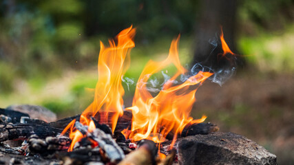Vintage Clock with Hands.Close up view on clock face of a historical watches with golden frame