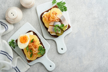 Open sandwich or smorrebrod with rye bread, herring, eggs, caramelized onions, parsley and cottage cheese on old wooden rustic table backgrounds. Danish or Scandinavian traditional food snack lunch.