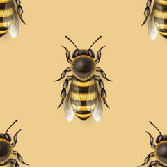 Vector Seamless Pattern with 3d Realistic Detailed Honey Bee Icon Closeup on Yellow Background. Queen Honeybee Design Template, Vector Illustration of Bee in Macro, Top View