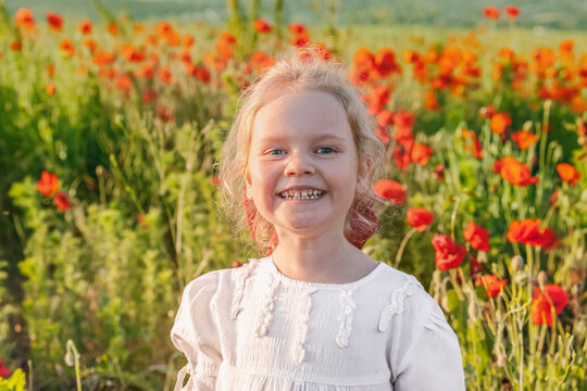 Portrait of a little girl in a poppy field on a summer day