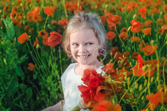 Little girl and a bouquet of poppies in a field on a summer day