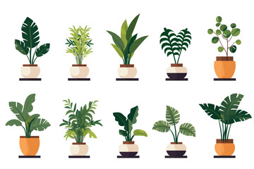 houseplant pot set vector flat isolated illustration