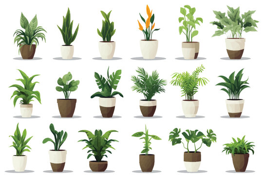 houseplant pot set vector flat minimalistic isolated illustration