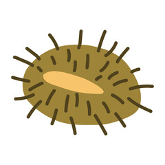 Chestnut with spines hand drawn illustration. Cartoon style flat design, isolated vector. Kids autumn, fall print, seasonal plant element, woodland, park, outdoors, nature
