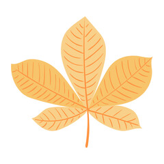 Fototapeta premium Chestnut tree leaf in autumn hand drawn illustration. Cartoon style flat design, isolated vector. Kids autumn, fall print, seasonal plant element, woodland, park, outdoors, nature