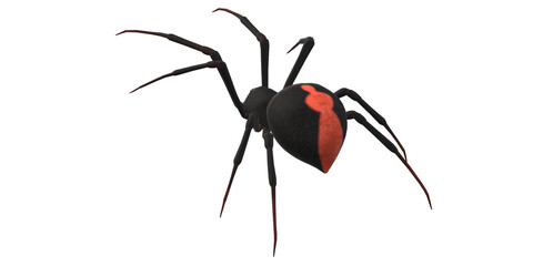 Spider isolated on a transparent Background