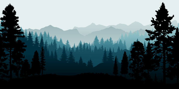 A beautiful vector illustration of a misty forest landscape with coniferous trees in silhouette. The evergreen trees, mountains, and natural environment perfect for backgrounds of nature, wildlife