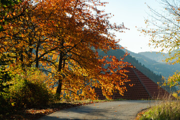 Fototapeta premium Landscape with a house in the autumn.