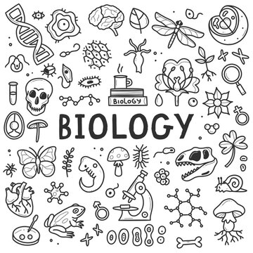 Biology doodle set. Collection of black and white hand drawn elements science biology. Vector illustration isolated on a white background.