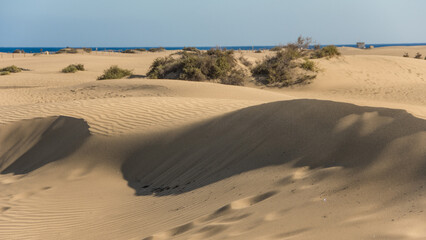 Sands of Tranquility: Gran Canaria Dunes of Maspalomas
