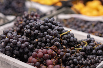 Black grapes background. Bunches of black grapes at a market or supermarket counter. 