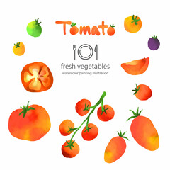 水彩のトマトイラストセット　お洒落な手描き水彩イラスト