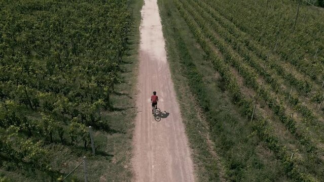 Bici gravel nel vigneto in Toscana
