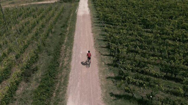 Strade bianche in bici gravel nel vigneto