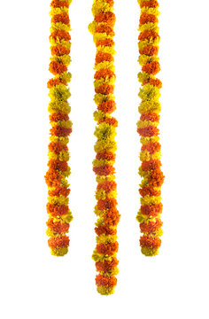 Hanging flower decoration border design, Onam Pongal and Diwali concept image, Flower border isolated on white background