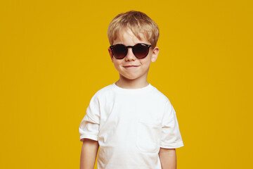 Confident little handsome blonde boy wearing trendy sunglasses and casual t-shirt smiling at camera.