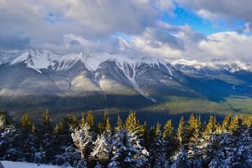 snow covered mountains
