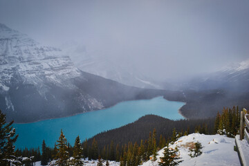 fog in the mountains