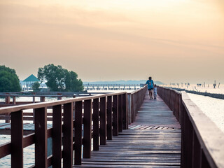 Sea view near mangrove forest with man made wooden barrier for wave protection, under morning twilight colorful sky in Bangkok, Thailand