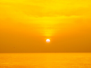 Sun is rising over horizon line with sea view and colorful sky, seagull fly for foreground