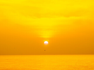 Sun is rising over horizon line with sea view and colorful sky, seagull fly for foreground