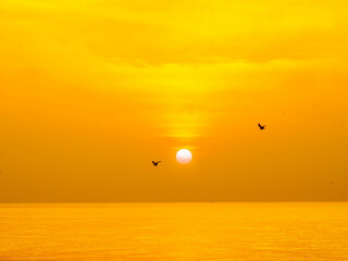 Sun is rising over horizon line with sea view and colorful sky, seagull fly for foreground