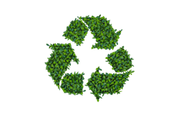 Recycle Icon Environmental concept of double exposed trees Isolated on clean background