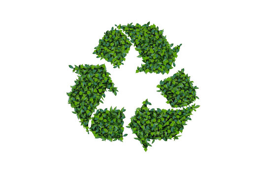 Recycle Icon Environmental concept of double exposed trees Isolated on clean background