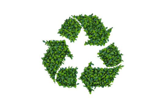 Recycle Icon Environmental concept of double exposed trees Isolated on clean background