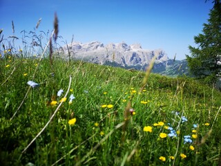 Südtirol Panorama. Mit Alta Badia, Seiser Alm, Corvara - 631233998