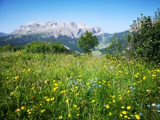 Südtirol Panorama. Mit Alta Badia, Seiser Alm, Corvara - 631235562