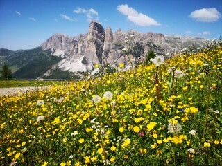 Südtirol Panorama. Mit Alta Badia, Seiser Alm, Corvara - 631235903