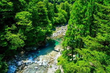 Fototapeta premium 中津川市、付知峡 やじろ橋の絶景