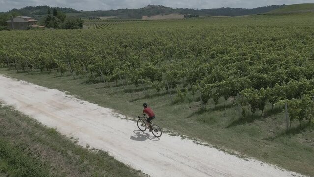 Giro gravel in Toscana tra i vigneti