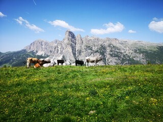 Südtirol Panorama. Mit Alta Badia, Seiser Alm, Corvara - 631236939