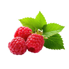 Red raspberries with green leaves isolated on transparent backround, with full depth of field.