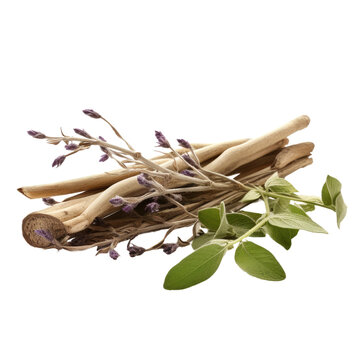 Sage and licorice roots Alone on transparent backround