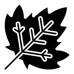 Maple Leaf Icon