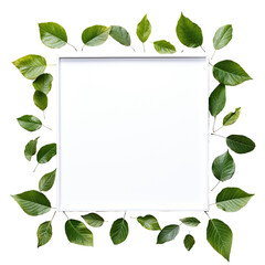 transparent backround with Tree Leaf Frame