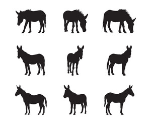 Silhouette donkey collection - vector illustration