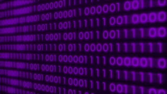 4K purple color binary code computer digits moving on screen, digital string information flow big data rolling. Algorithm binary, data code, decryption and encoding, row matrix purple color.