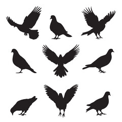 collection of silhouette doves - pigeon collection - vector illustration