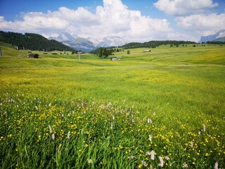 Südtirol Panorama. Mit Alta Badia, Seiser Alm, Corvara - 631248901