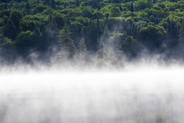 Misty Summer morning in mont Tremblant national park