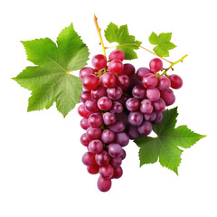 Red grapes with green leaves on transparent backround, flat lay.